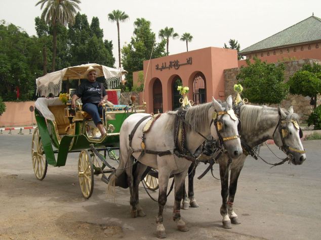 Marrakech en calèche 1