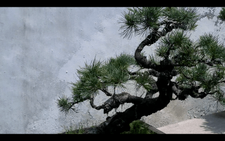 capture-decran-2013-05-20-a-16-48-19