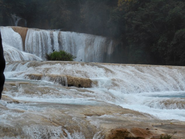 DSCN0030 Cascades d'Agua Azul