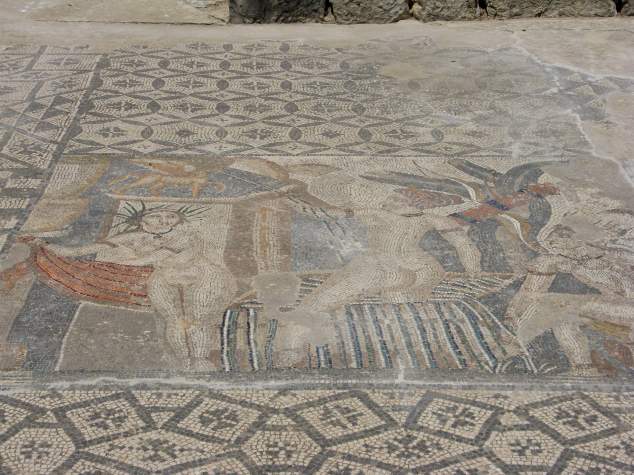 IMG_2771 Mosaïque de Diane