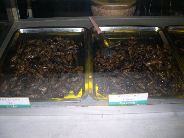 Bestioles comestibles n°1