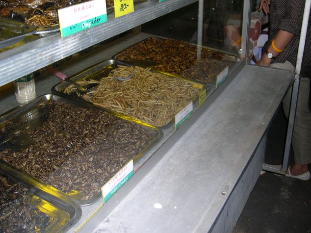 Bestioles comestibles n°2