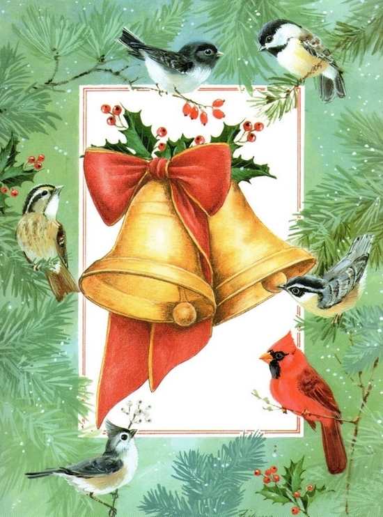 20Aha1R6SyhJI8U1YBvmGSp_jWQ@550x742