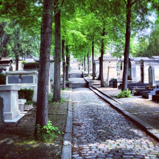 24705213_Zj7QzZK-x7Mb1k9s8qwzk7uzC1mWR9fcBe0ebKnus0Q