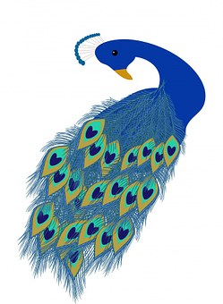 peacock-163652__340