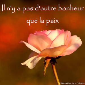 bonheur_015