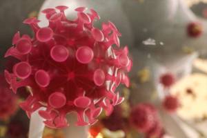 Immunity White blood cell kill pneumonia coronavirus with Y cell